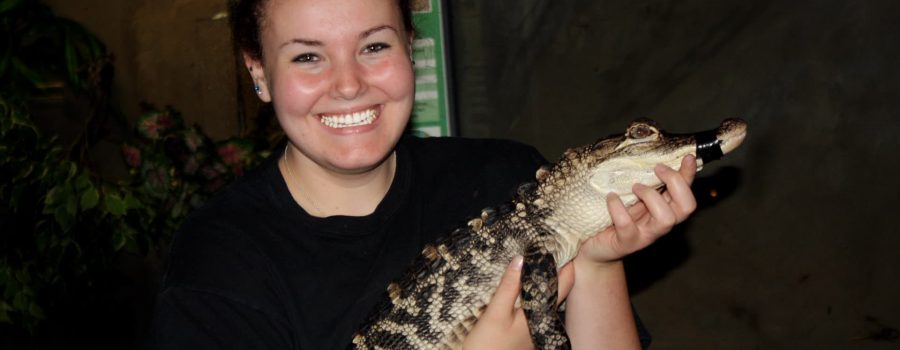 Reptilia Intern holding baby alligator