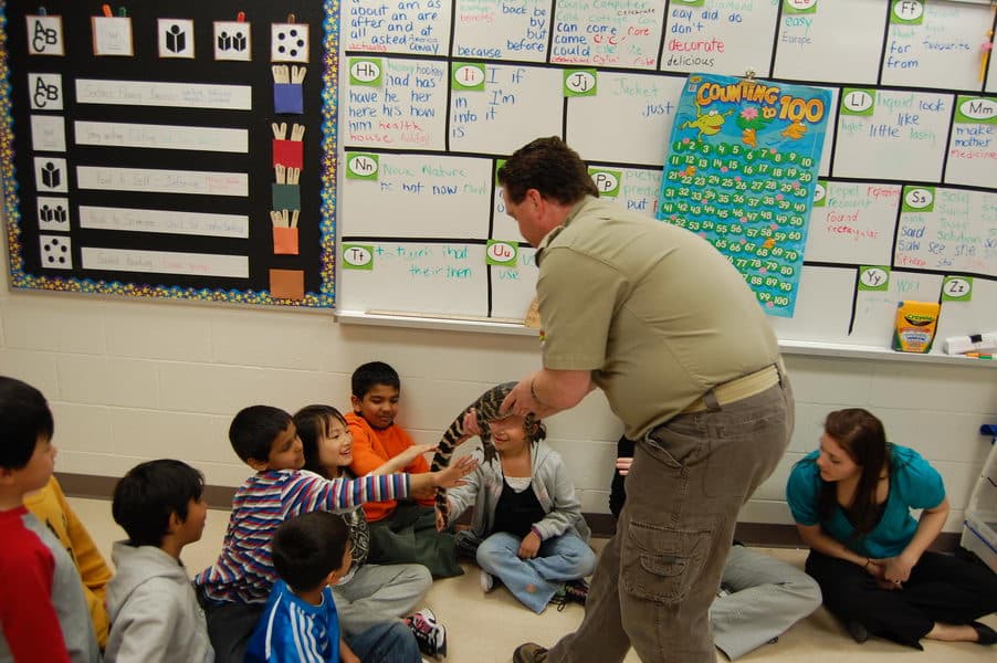educator teaching children reptilia educator teaching elementary school programs
