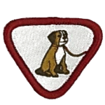 cub pet badge reptilia scouts pet badge