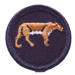 reptilia scoutsa and guides endangered animals badge