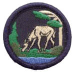 reptilia scouts and guides plants and animals badge