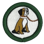 scouts pet care badge reptilia scouts pet care badge