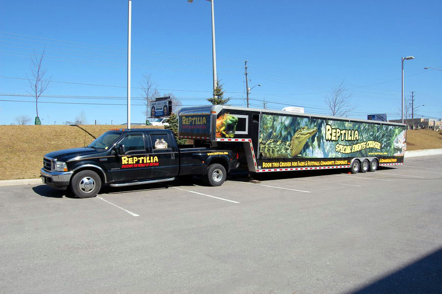 reptilia reptile zoo event rental cruiser with 26 reptile displays