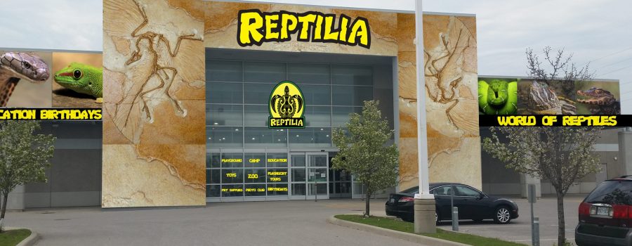 reptilia whitby facility