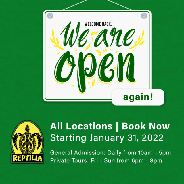 Reptilia Open Jan 2022