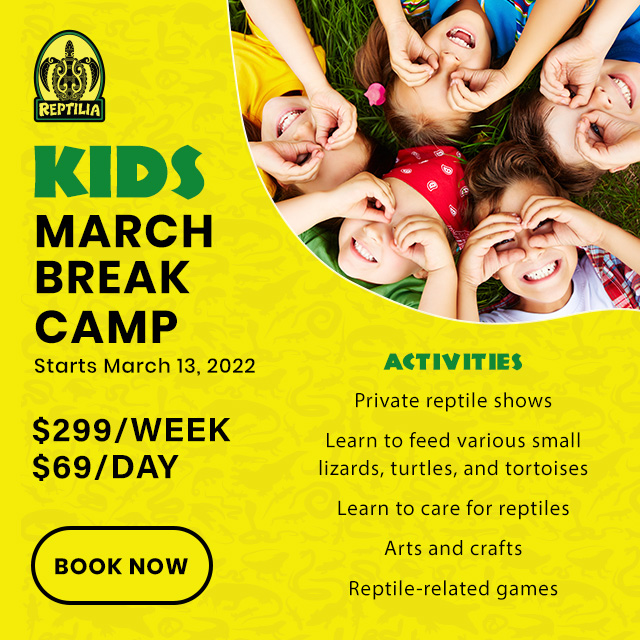 Reptilia March Break Camp for kids