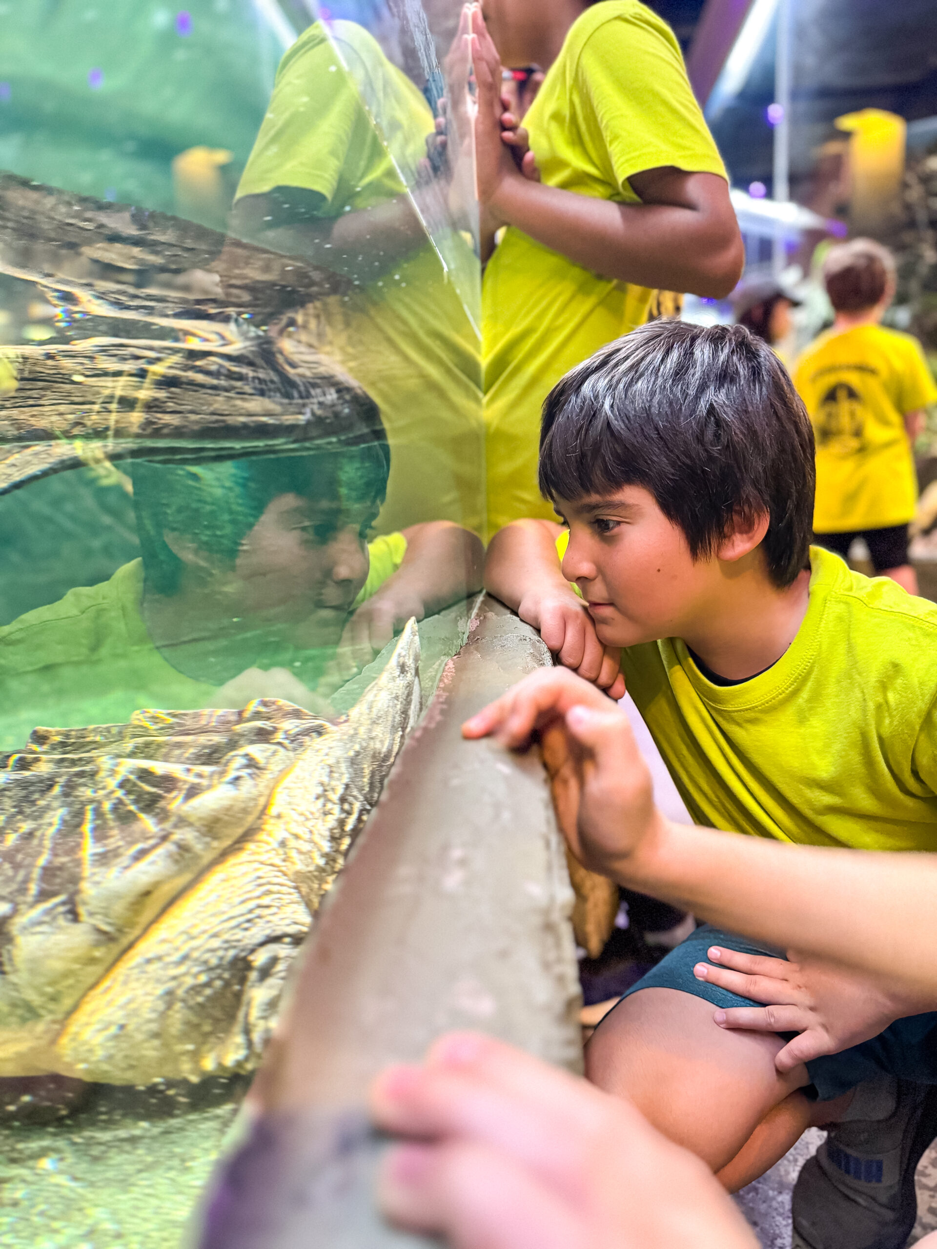 Conservation exhibits
