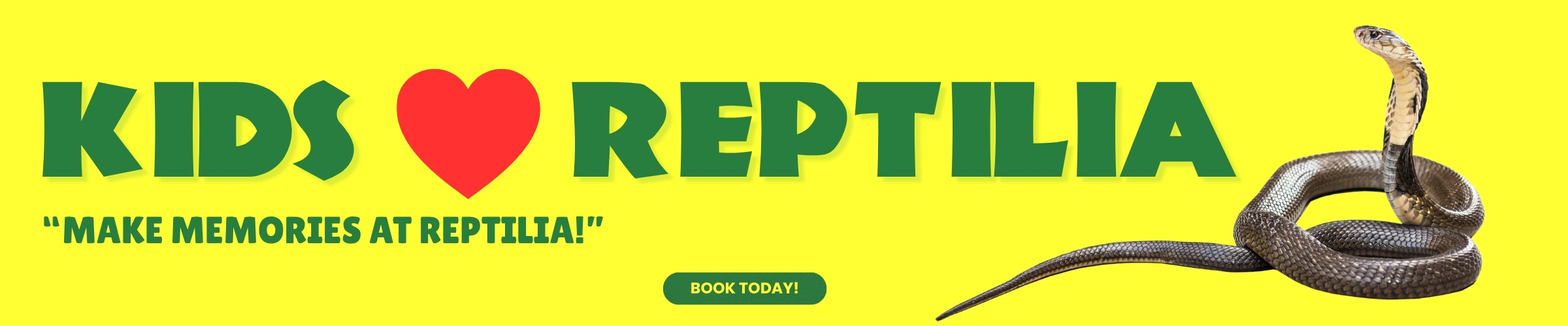 Website Header (2400 x 500 px) (6)