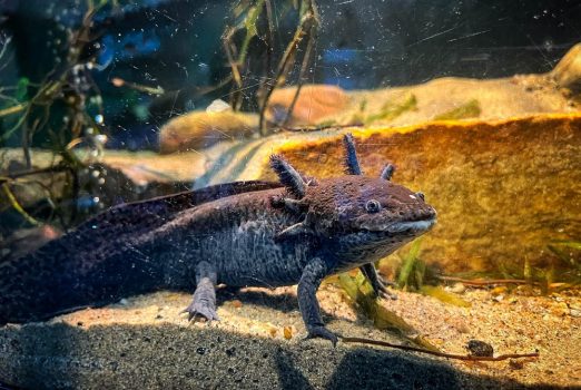 F7034C2D-3444-4DDF-9189-DF2AF689A0AC