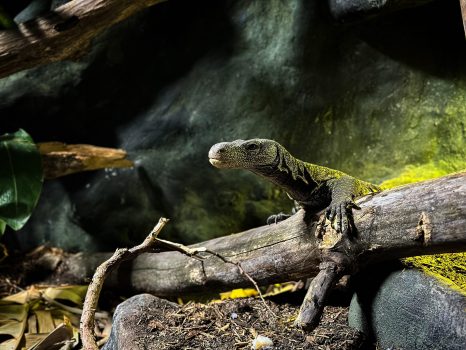 F8E0FECE-3BBE-4102-A74A-EAA1AA72F536