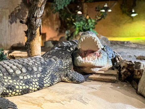 Photo 2023-02-12, 1 13 53 PM